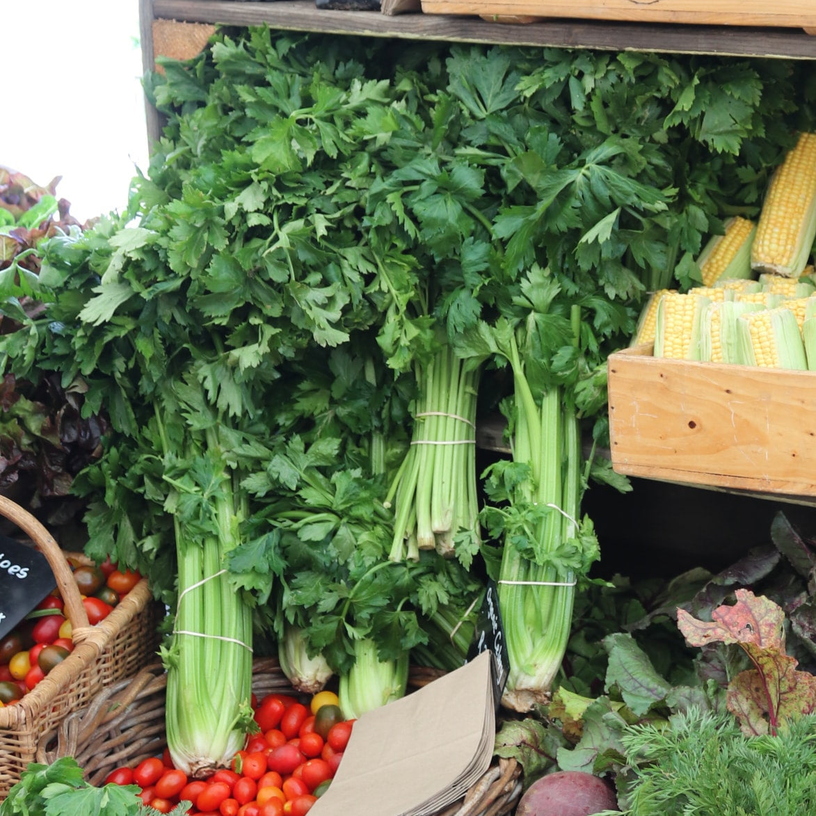 Celery image 0