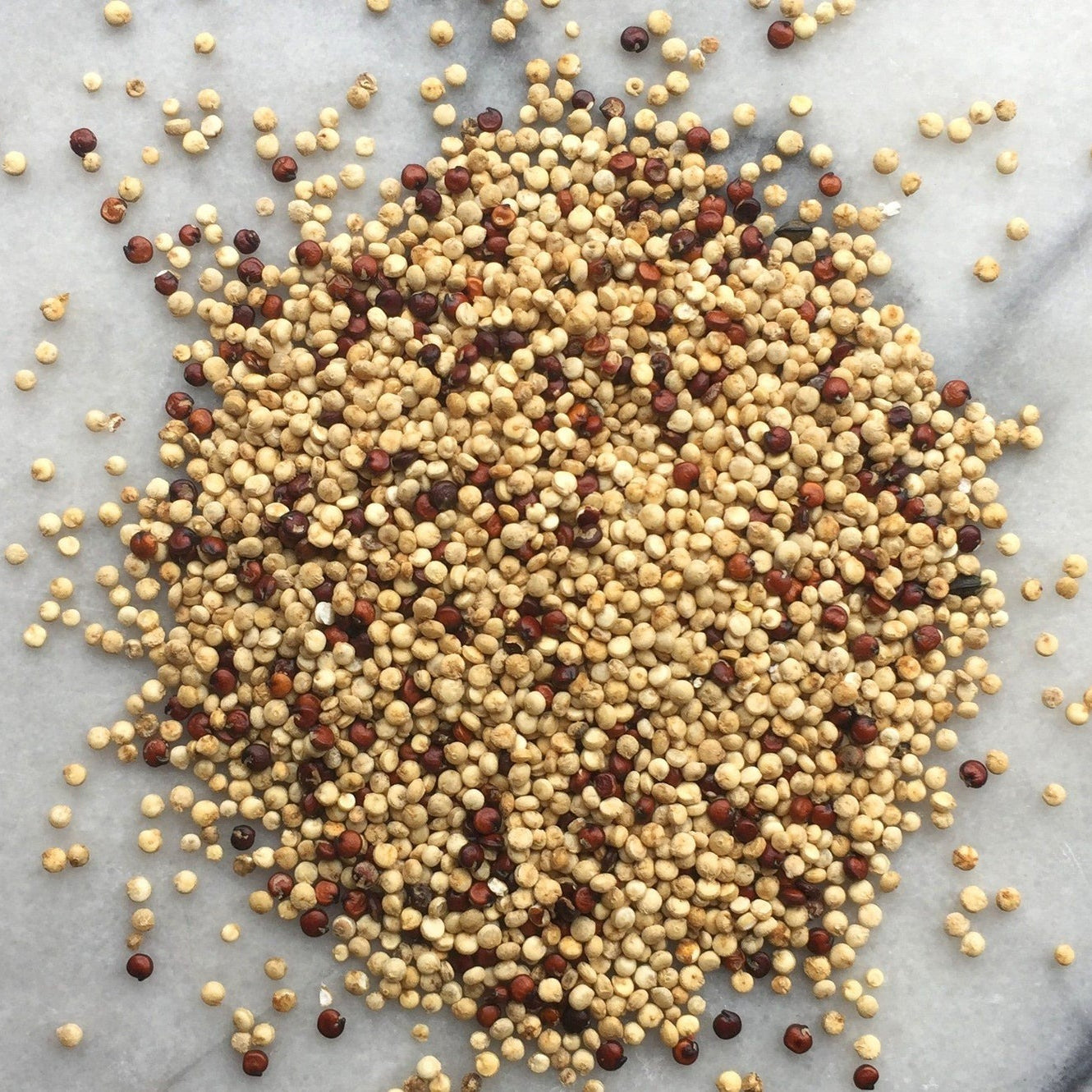 Hodmedod's British Red & White Quinoa image 0