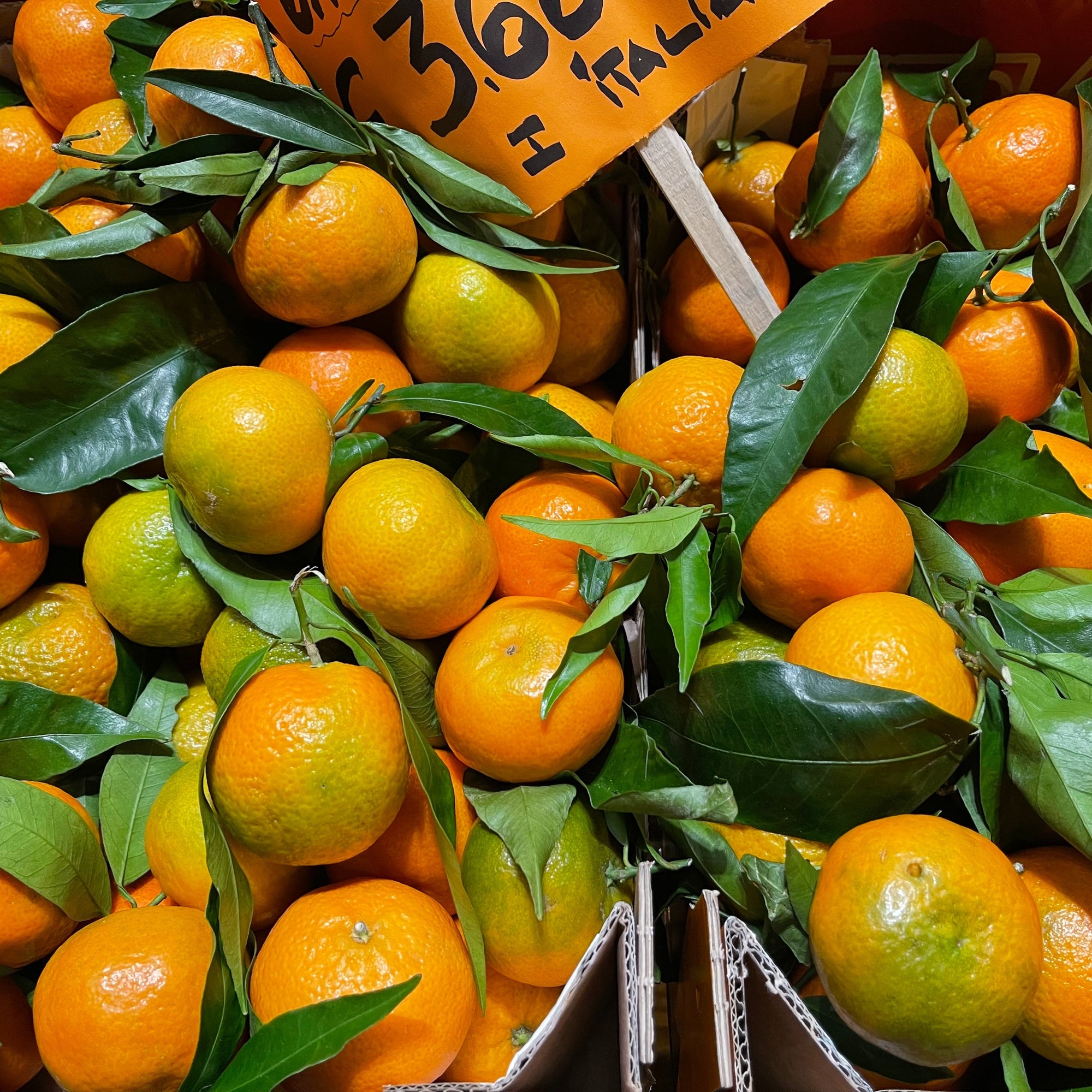 Close up of Clemenrubi Clementines 
