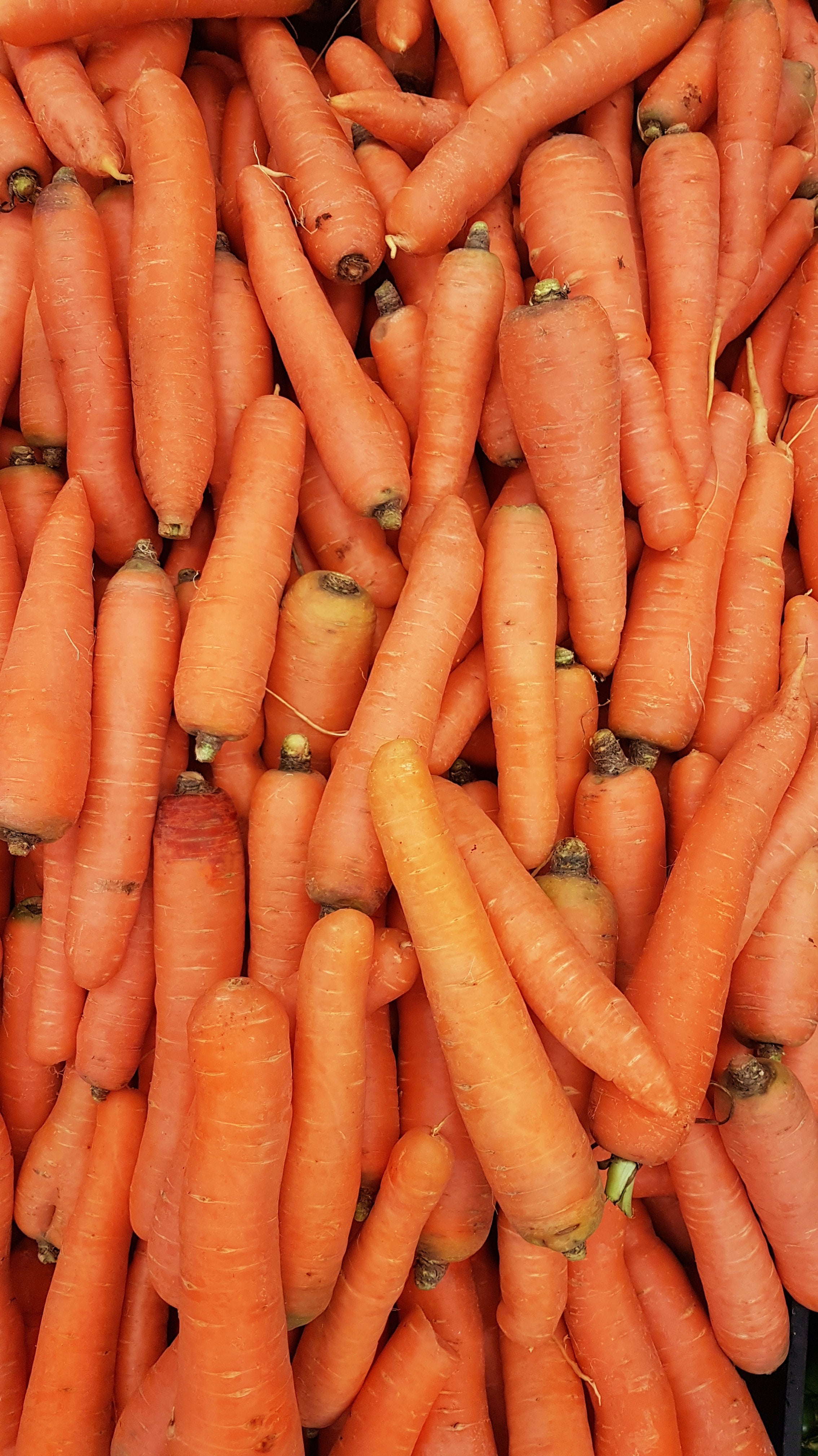 Carrots (500g) image 0