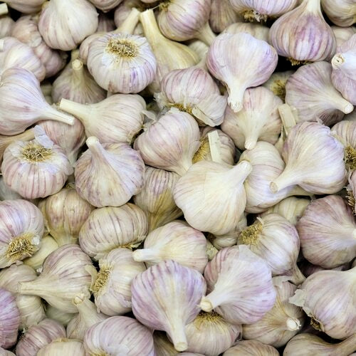 Garlic Bulb image 0