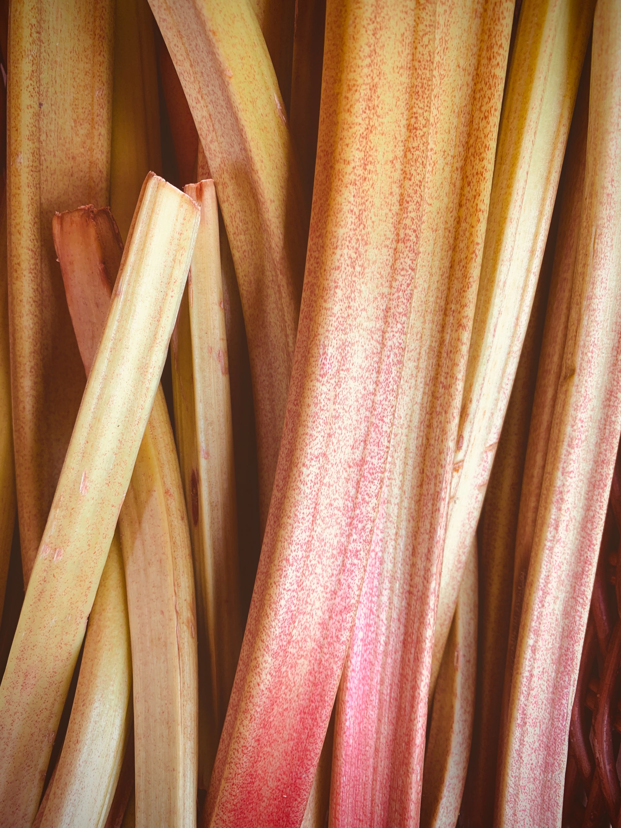 Rhubarb image 0