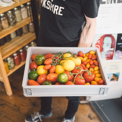 Close up of Mixed Baby Plum Tomatoes 
