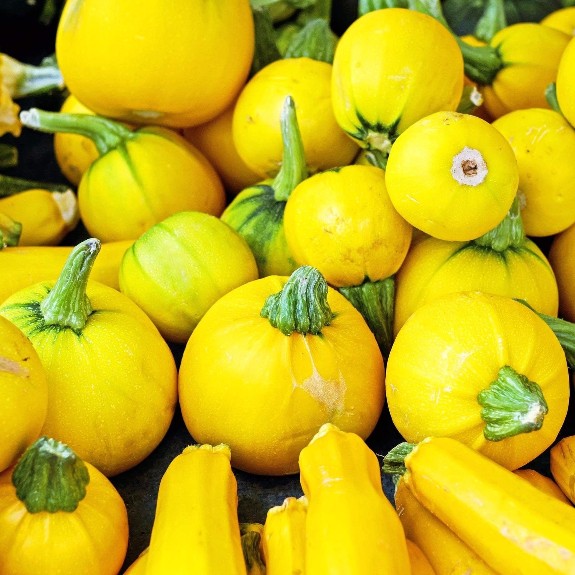 Round Yellow Courgette (500g) image 0