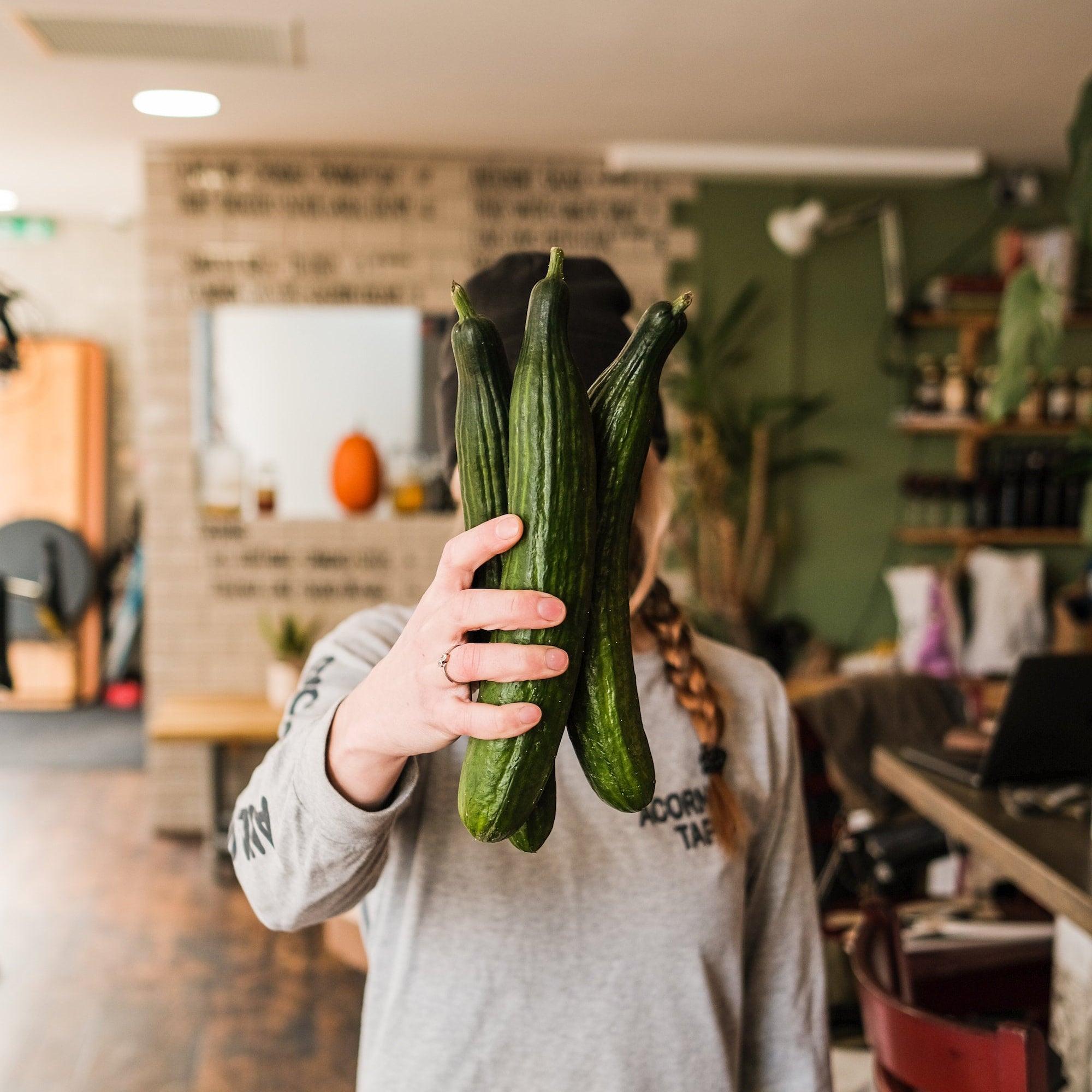 Close-up of Cucumber