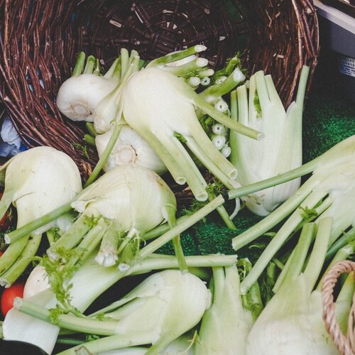 Fennel (500g) image 0