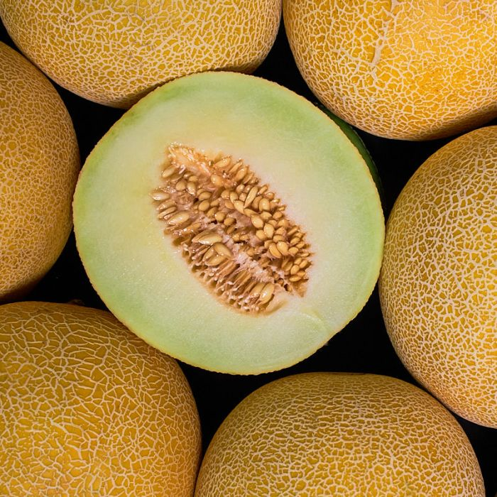 A close-up top-down view of several melons, with one cut in half to show the pale green flesh and central seed cavity, surrounded by whole melons with yellow-orange netted skin against a dark background.