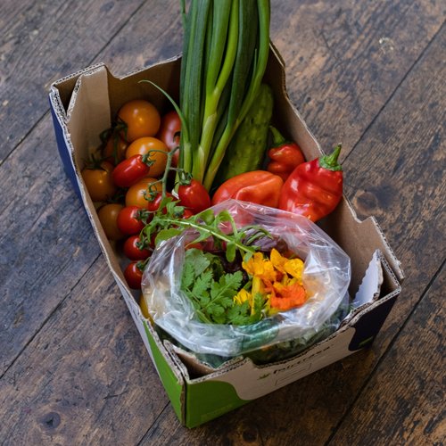 Organic Salad Box - Medium image 0