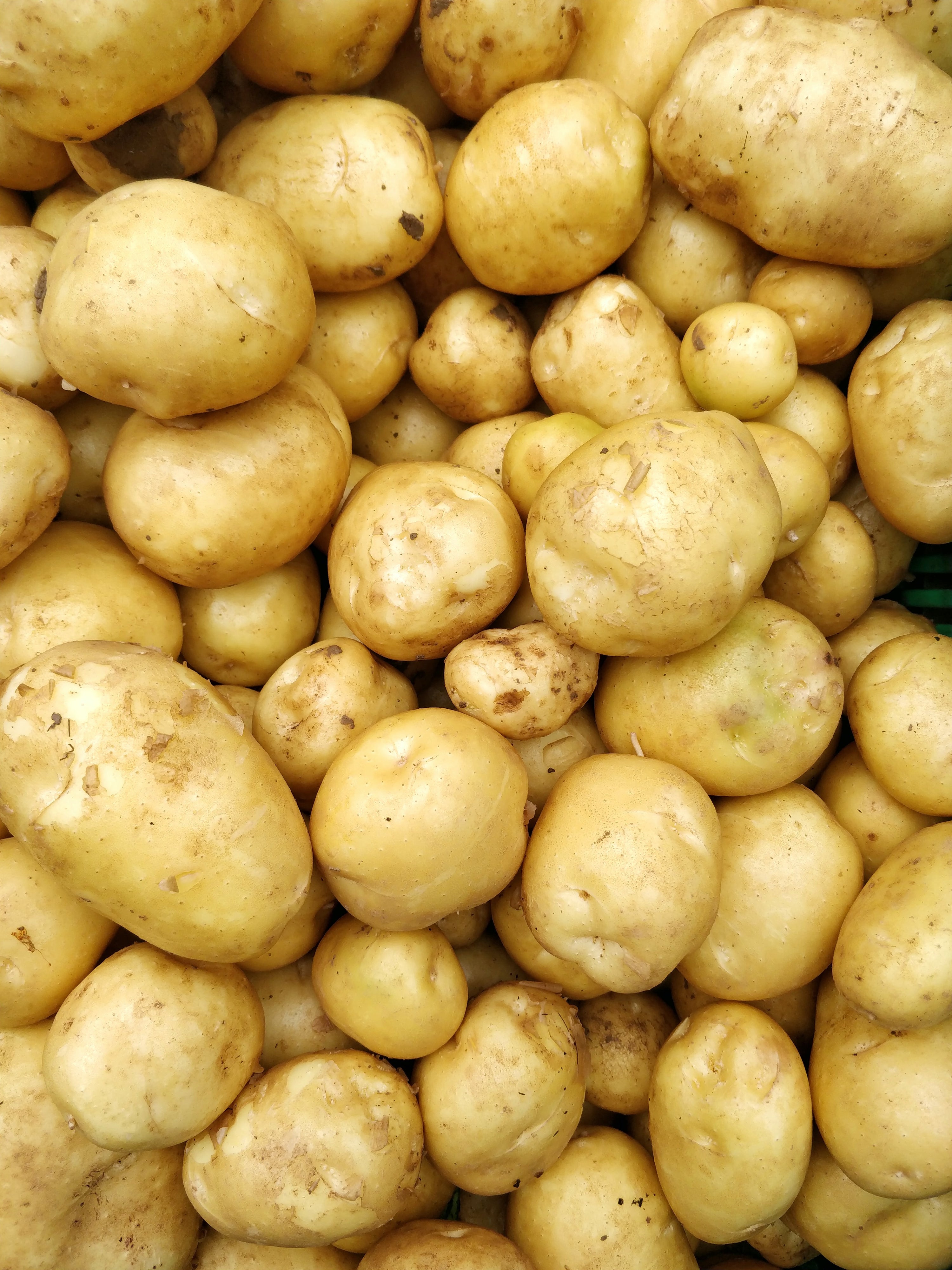 New Season Salad Potatoes (500g) image 0