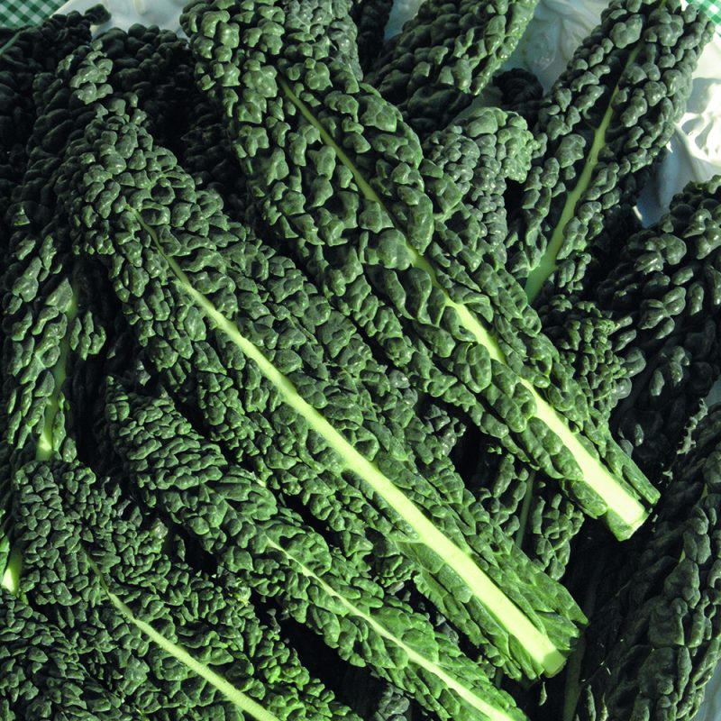 Cavolo Nero image 0
