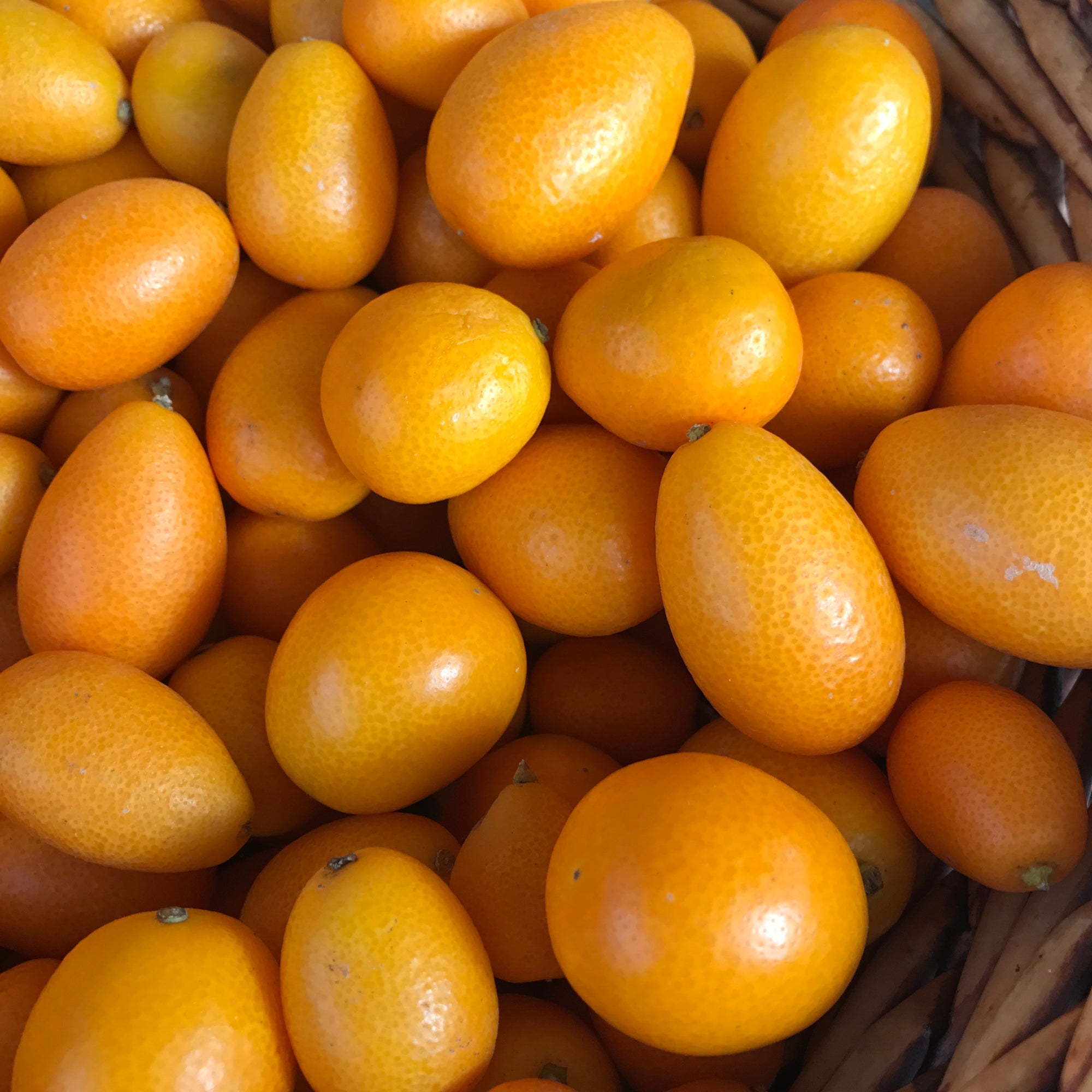 Kumquat image 0