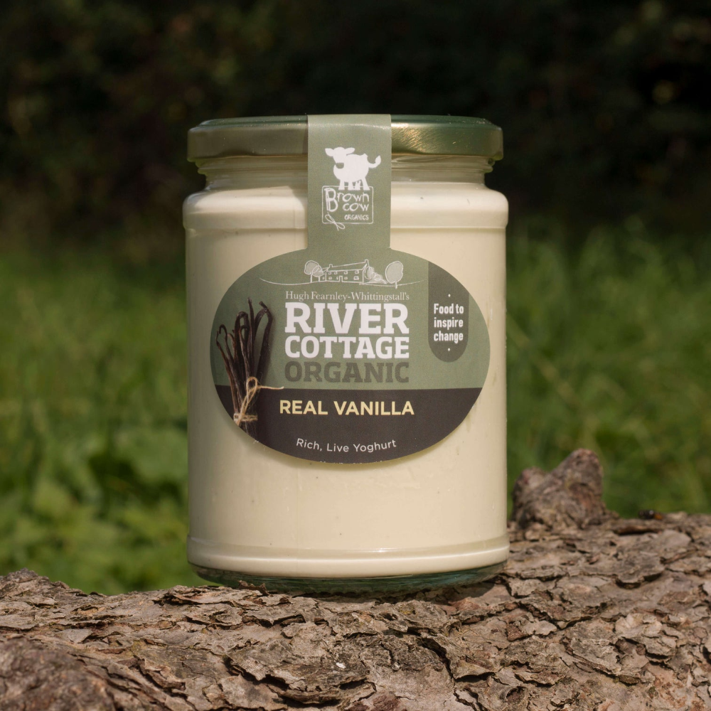Jar of River Cottage Organic Real Vanilla yogurt on a tree branch with a blurred green background