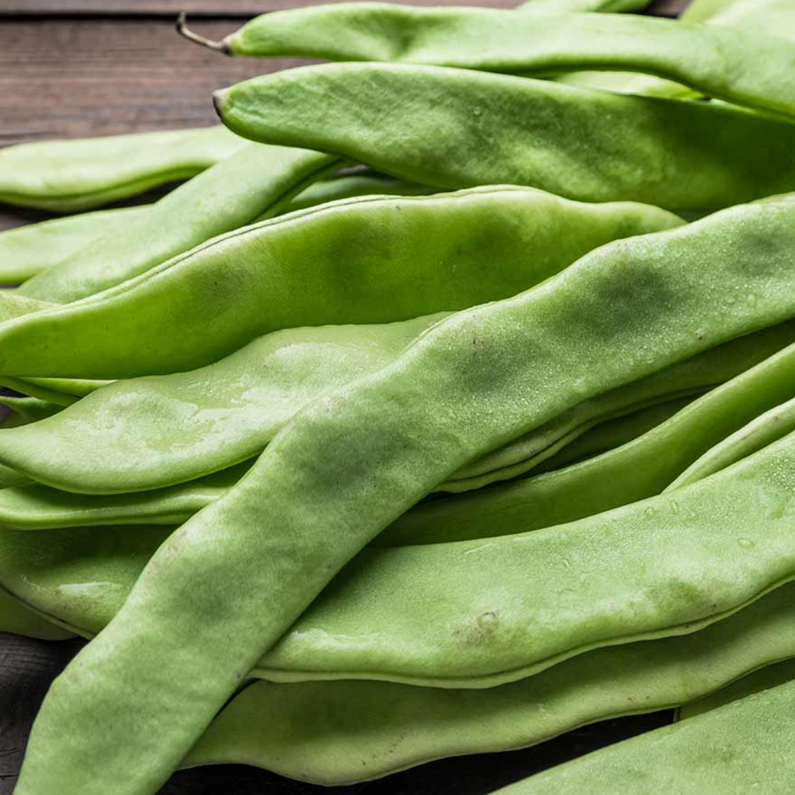 Close-up of green Runner Beans 
