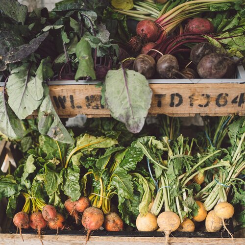 Red Beetroot image 0