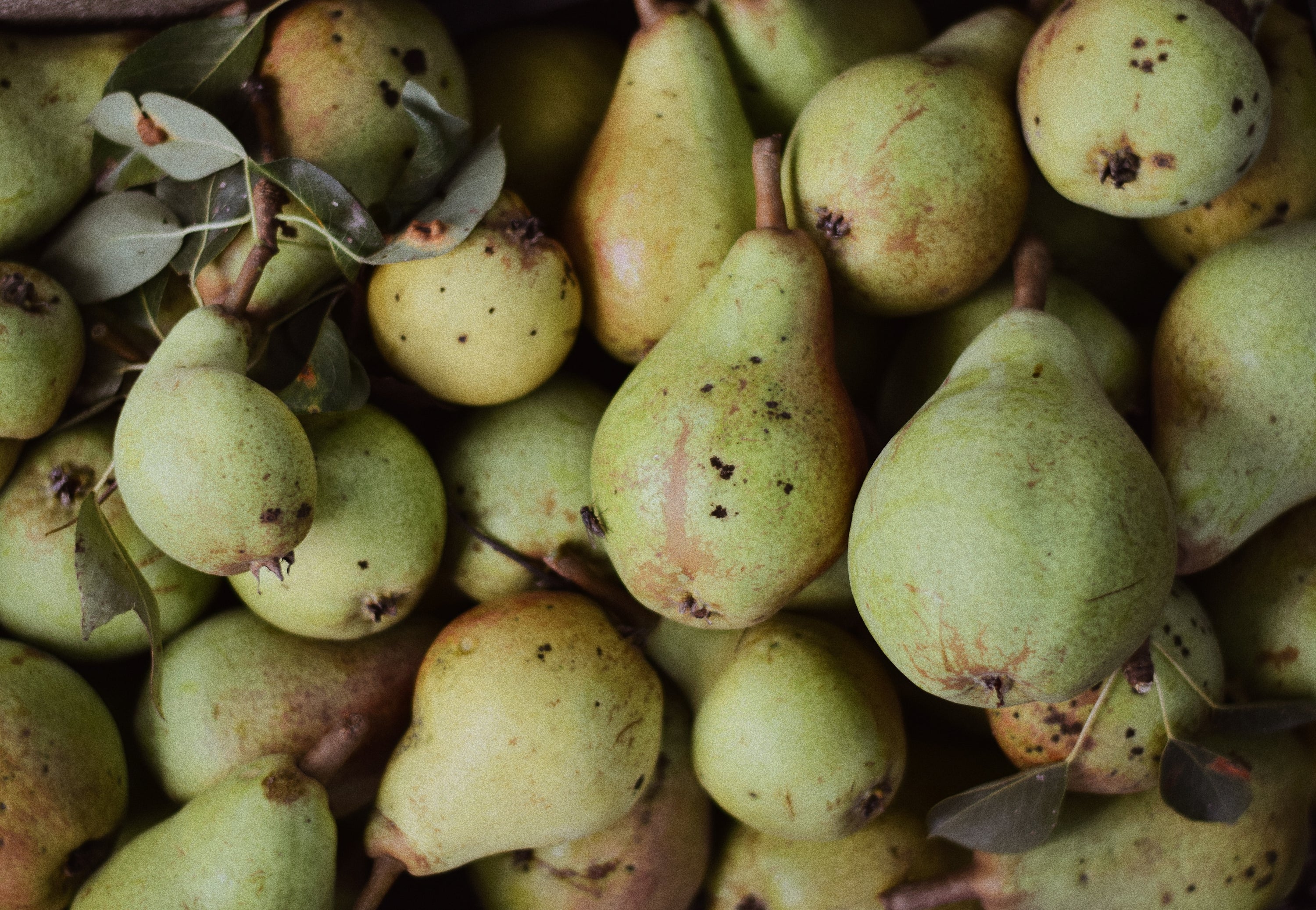 Conference Pears (500g) image 0