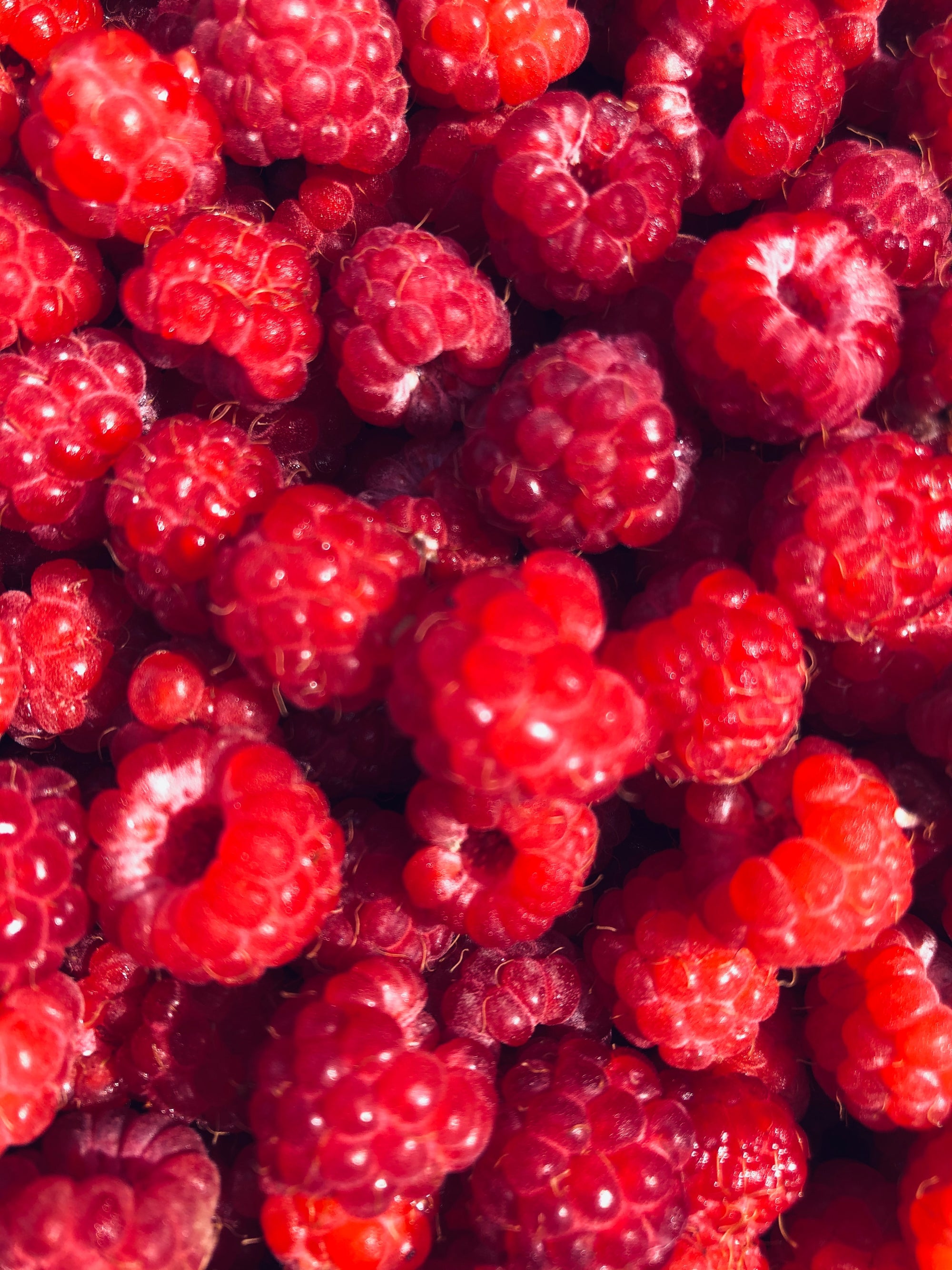 Raspberries image 0