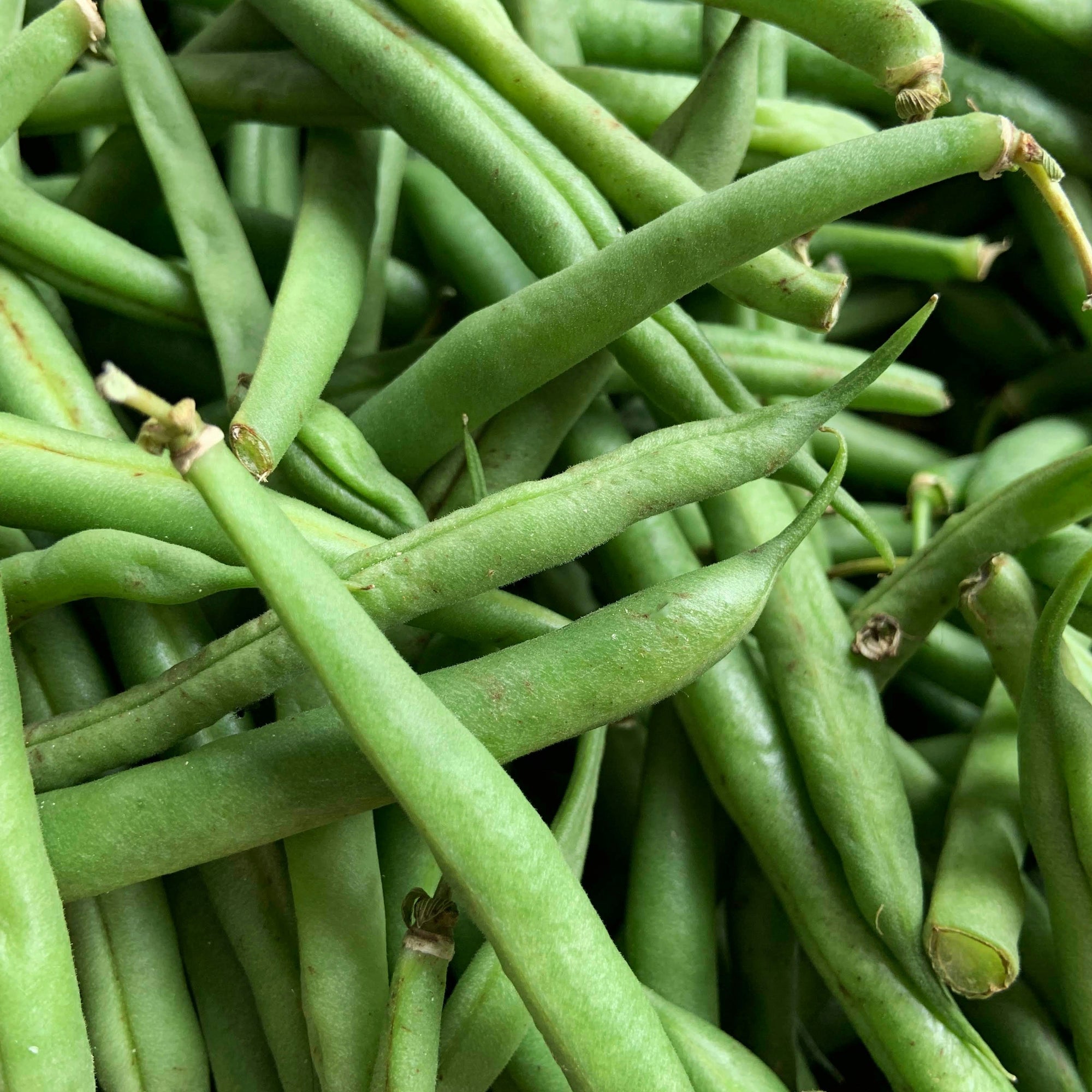Close-up of green beans with a focus on texture and color.