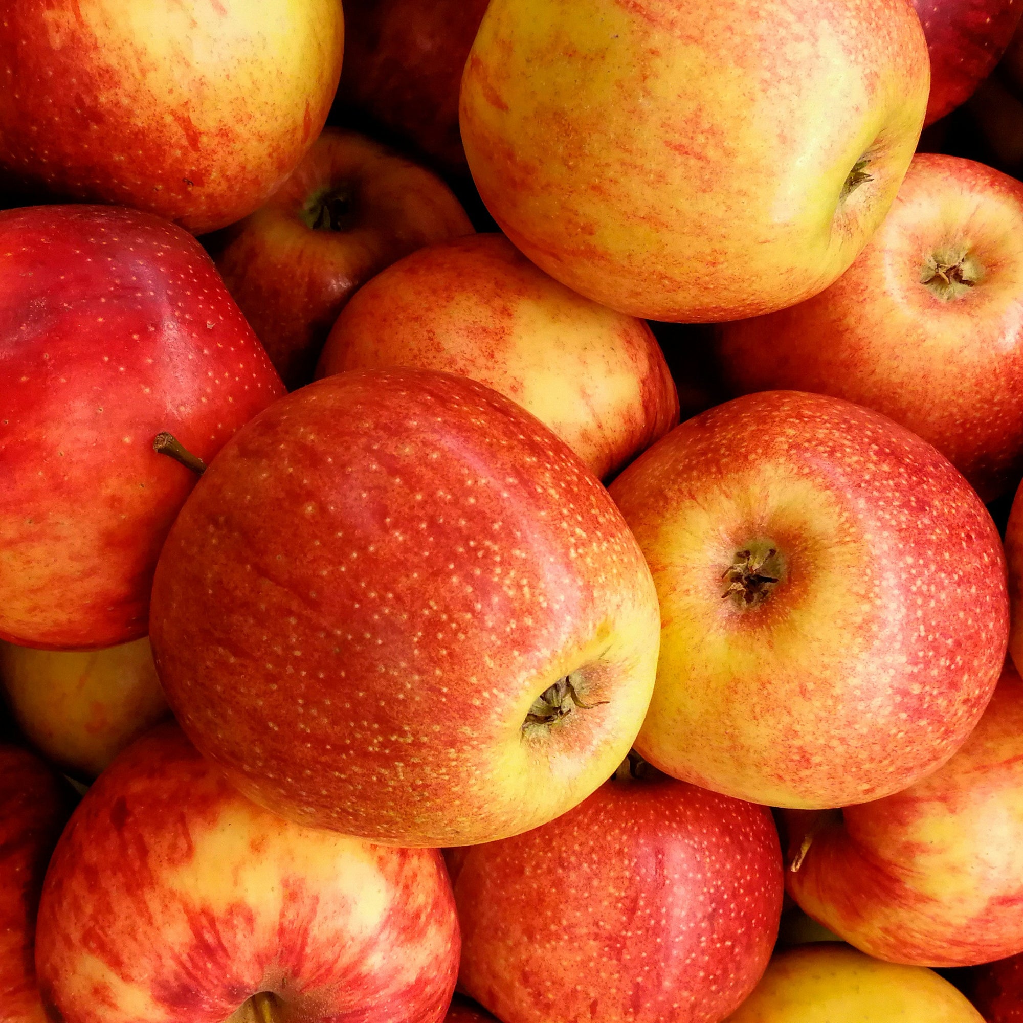 Close-up of a pile of red and yellow apples.