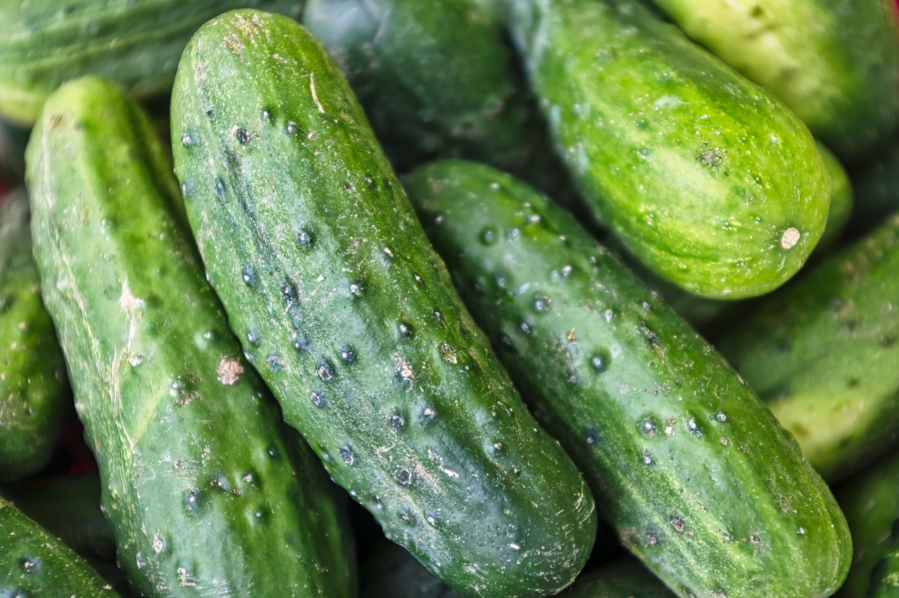 Ridged Cucumber (200g) image 0
