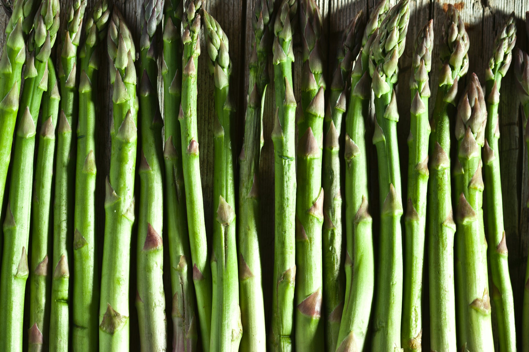 Asparagus image 0