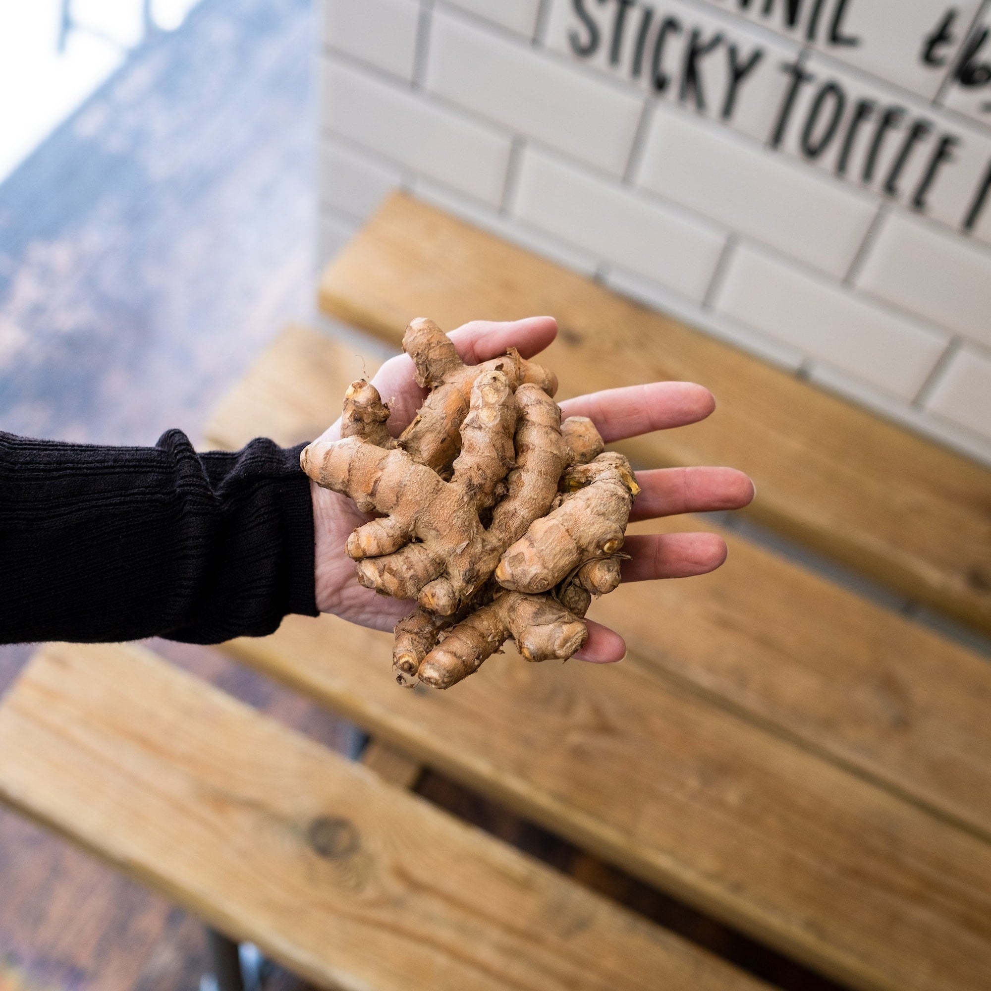 Close up of Turmeric Root 