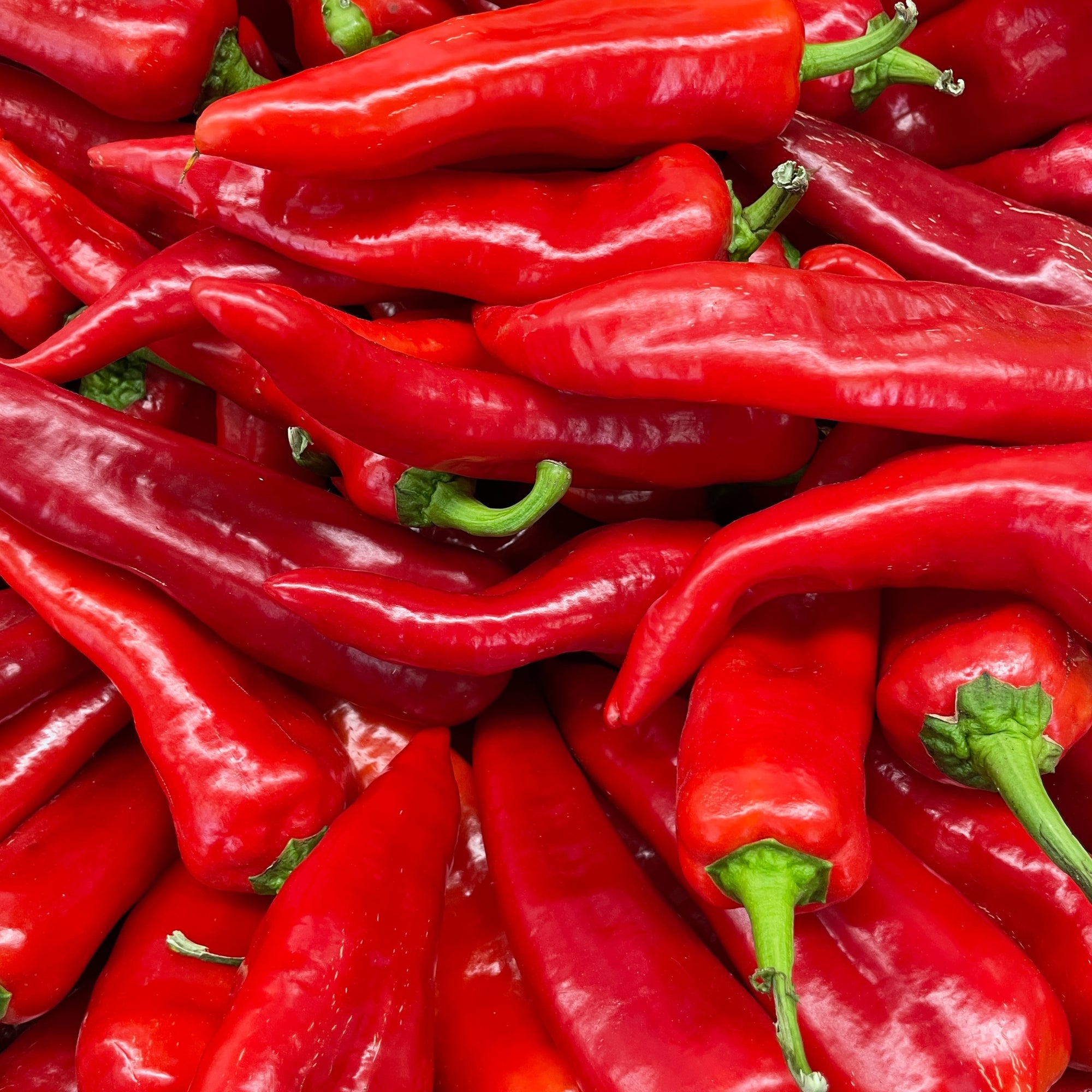 Close up of Arreton Sweet Pointed Peppers 