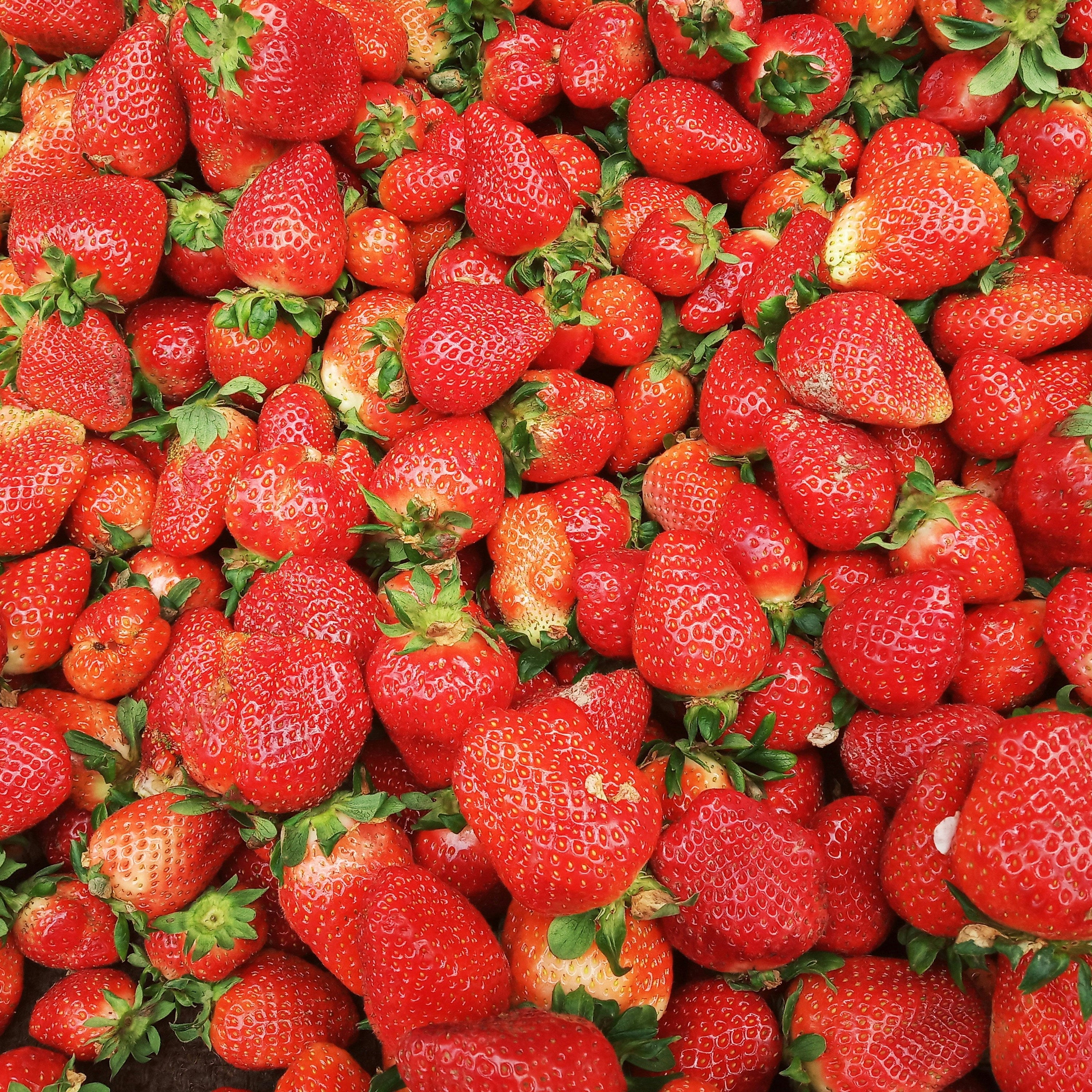 A close-up, top-down view of a dense pile of fresh red strawberries with green leafy tops.