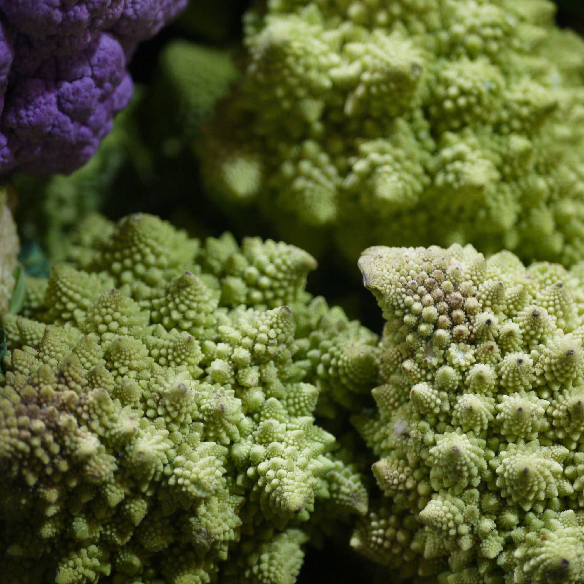 Close-up of romanesco cauliflower