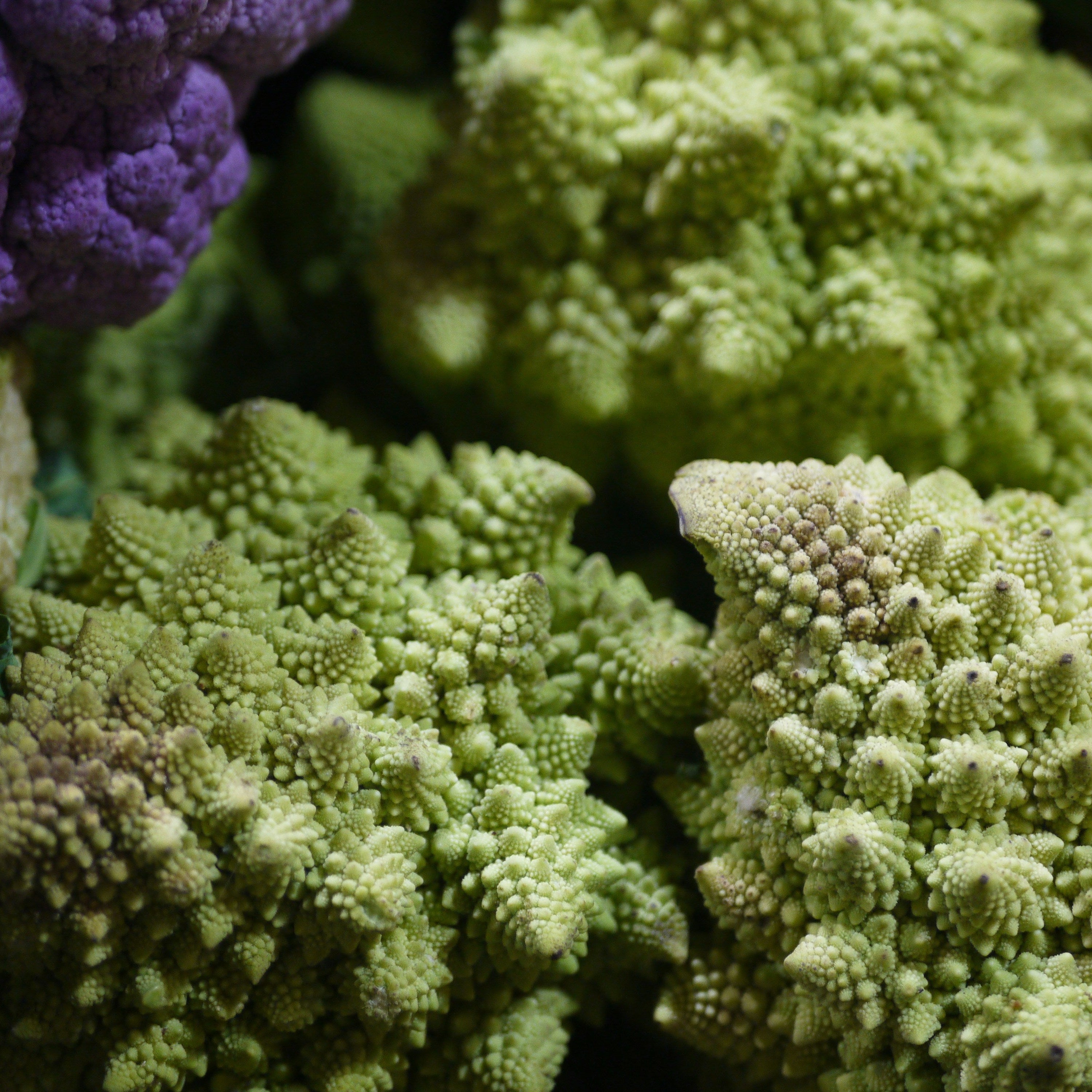 Close-up of romanesco cauliflower