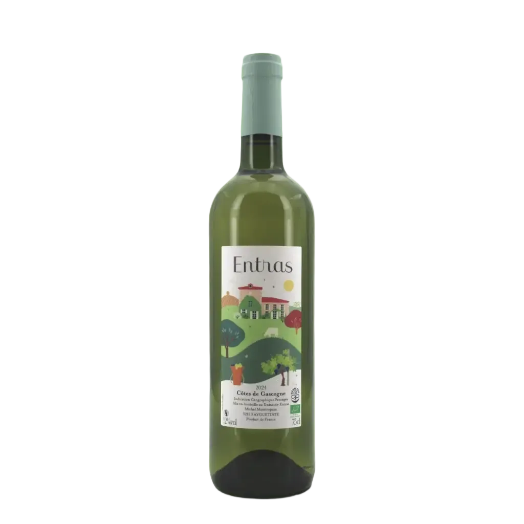 Bottle of Entras white wine on a light green background
