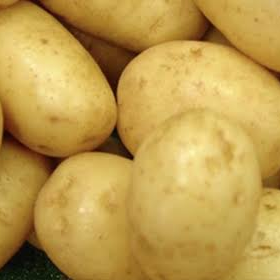 Close up of a pile of jacket potatoes 