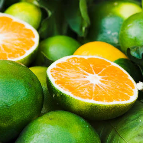 A close-up of green citrus fruits, including whole limes and two halves showing bright orange pulp, with dark green leaves in the background
