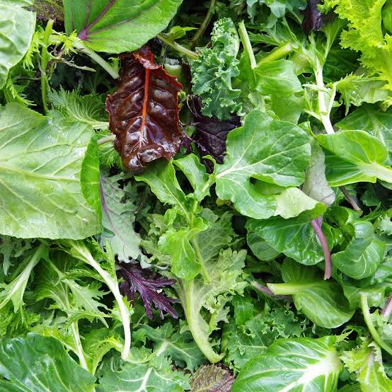A close-up, top-down view of mixed fresh leafy greens, including green lettuce, ruffled kale-like leaves, and a few dark burgundy-purple leaves, filling the entire frame.
