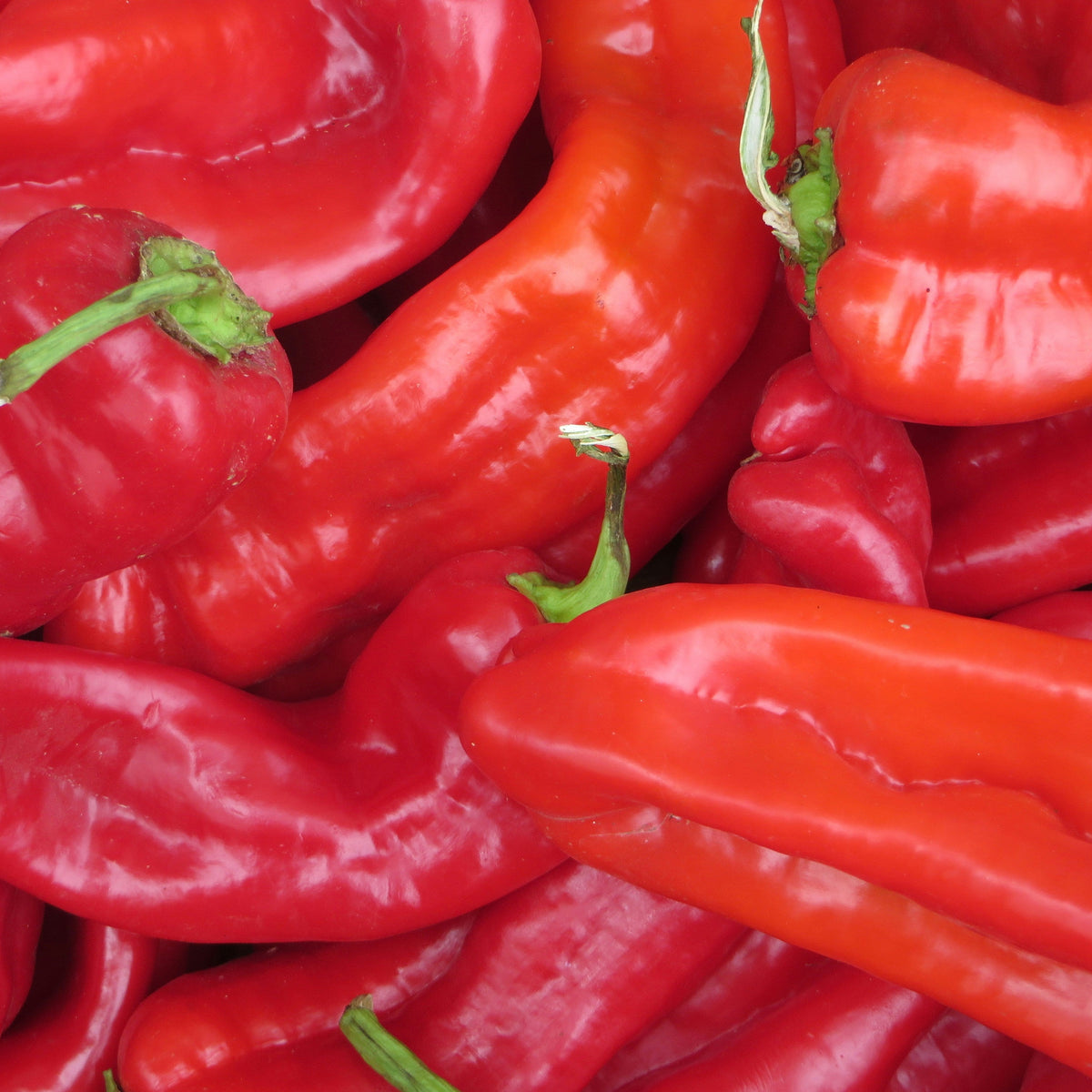 Palermo Peppers (250g)