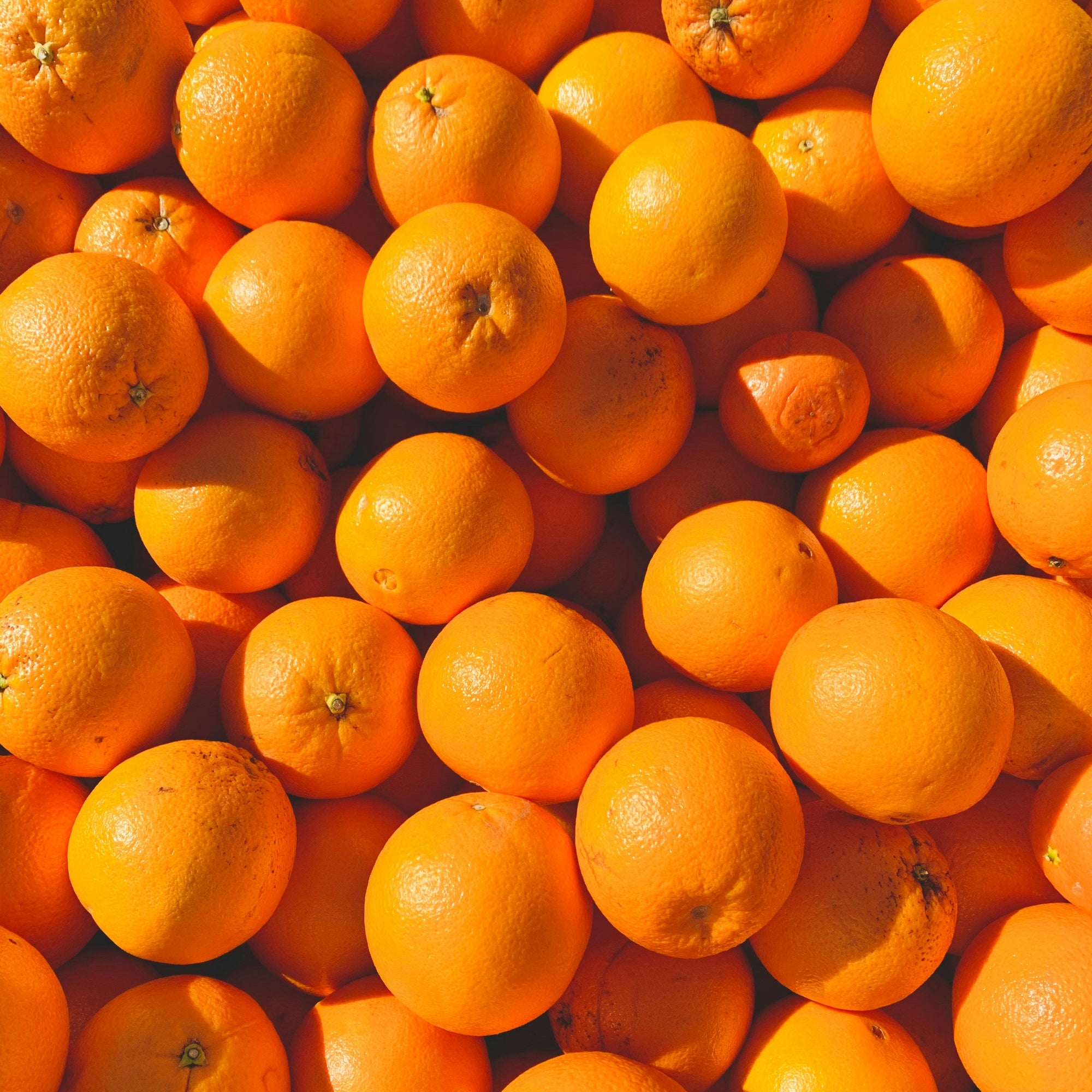 Close-up of oranges