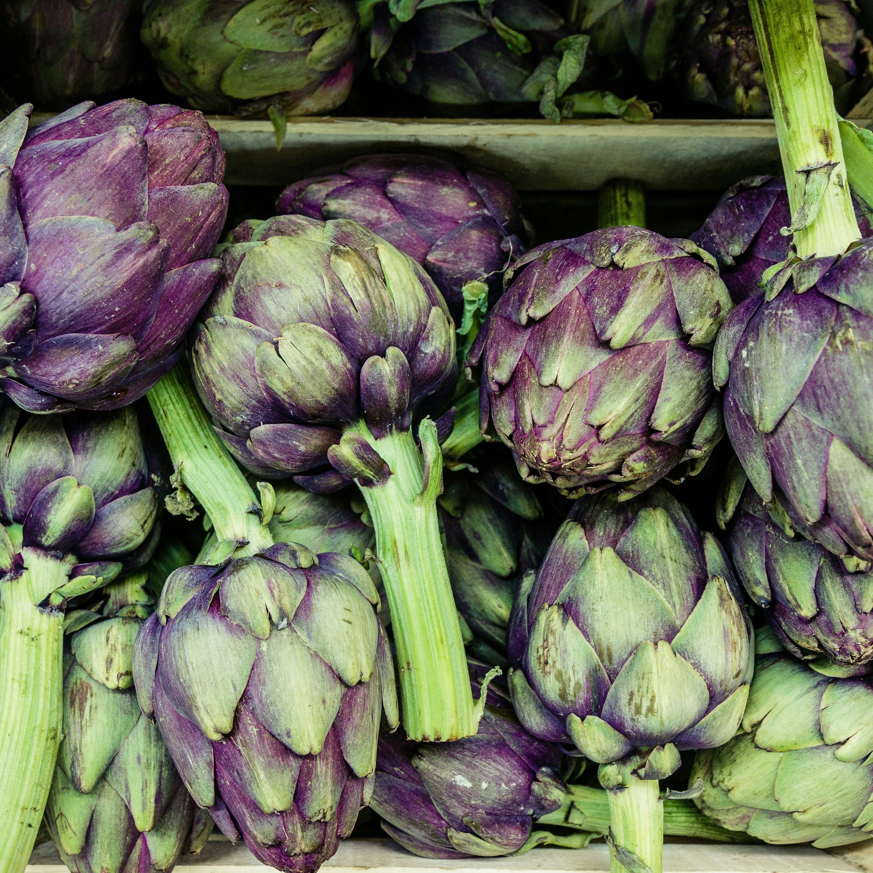 Artichokes with green and purple leaves in a wooden crate.