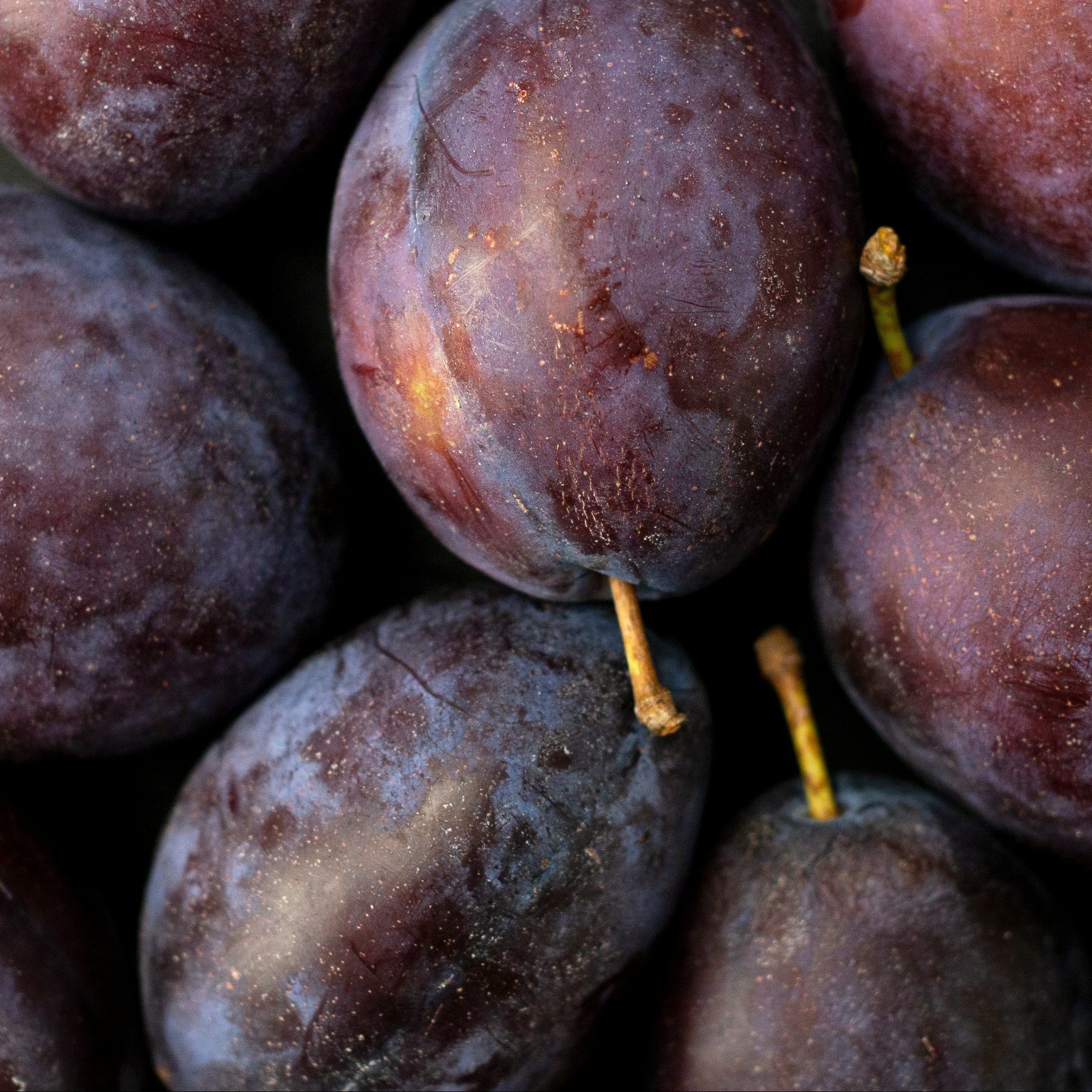 Close-up of plums on a dark surface