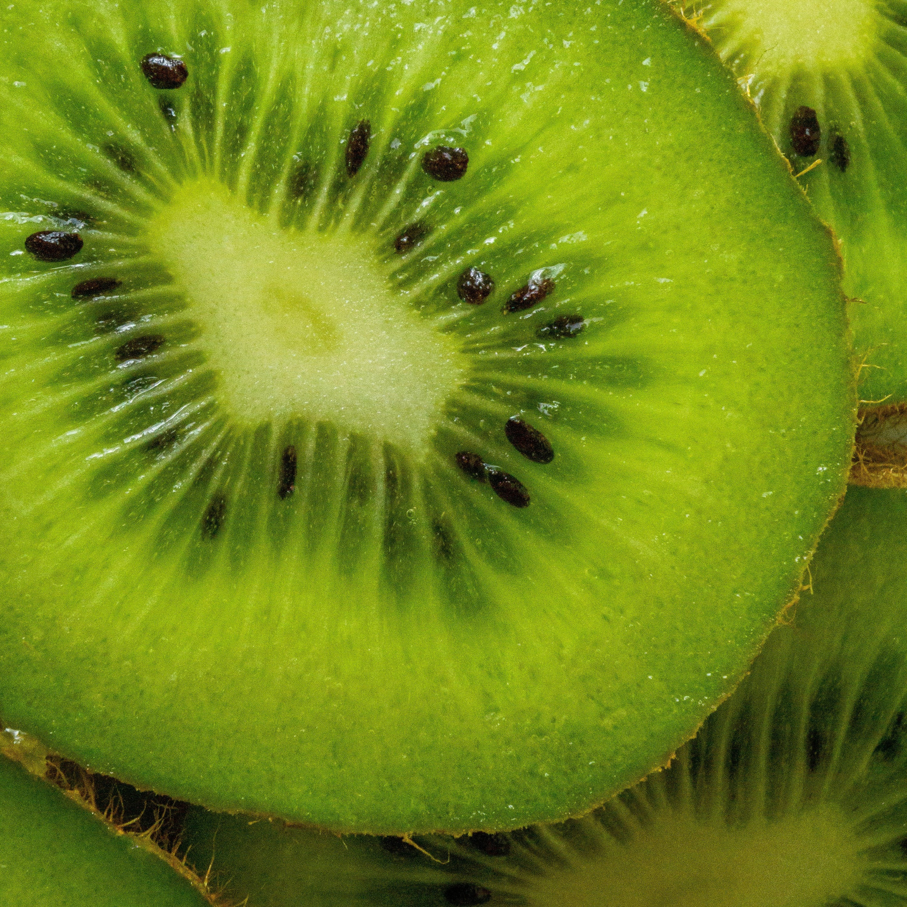 Close-up of sliced kiwis with a focus on texture and color.