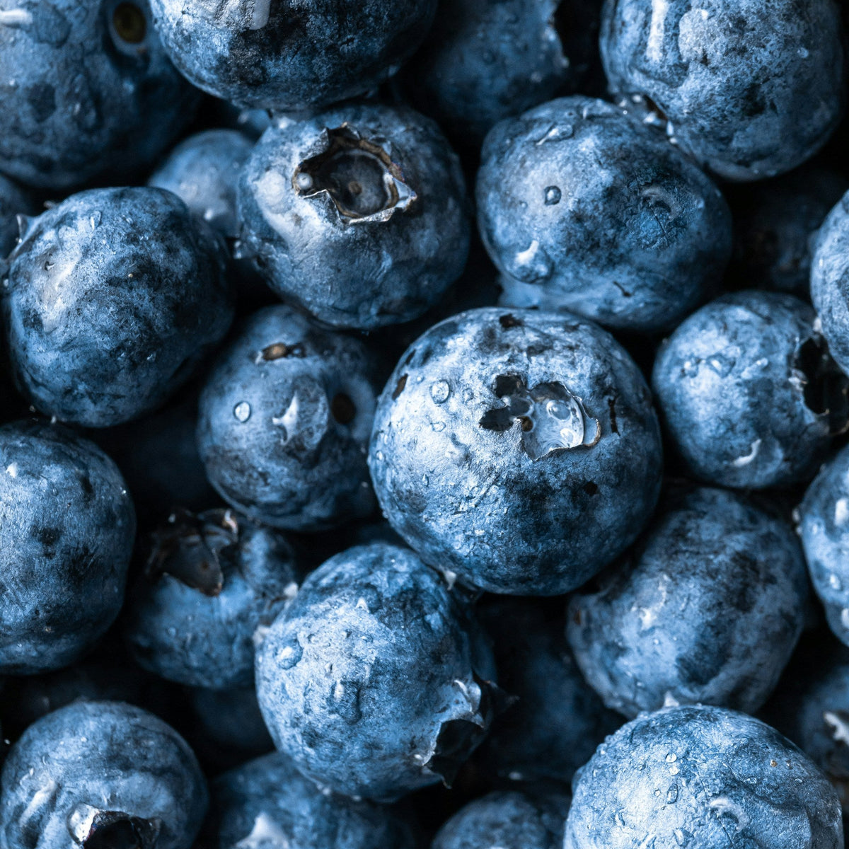 Blueberries (125g)
