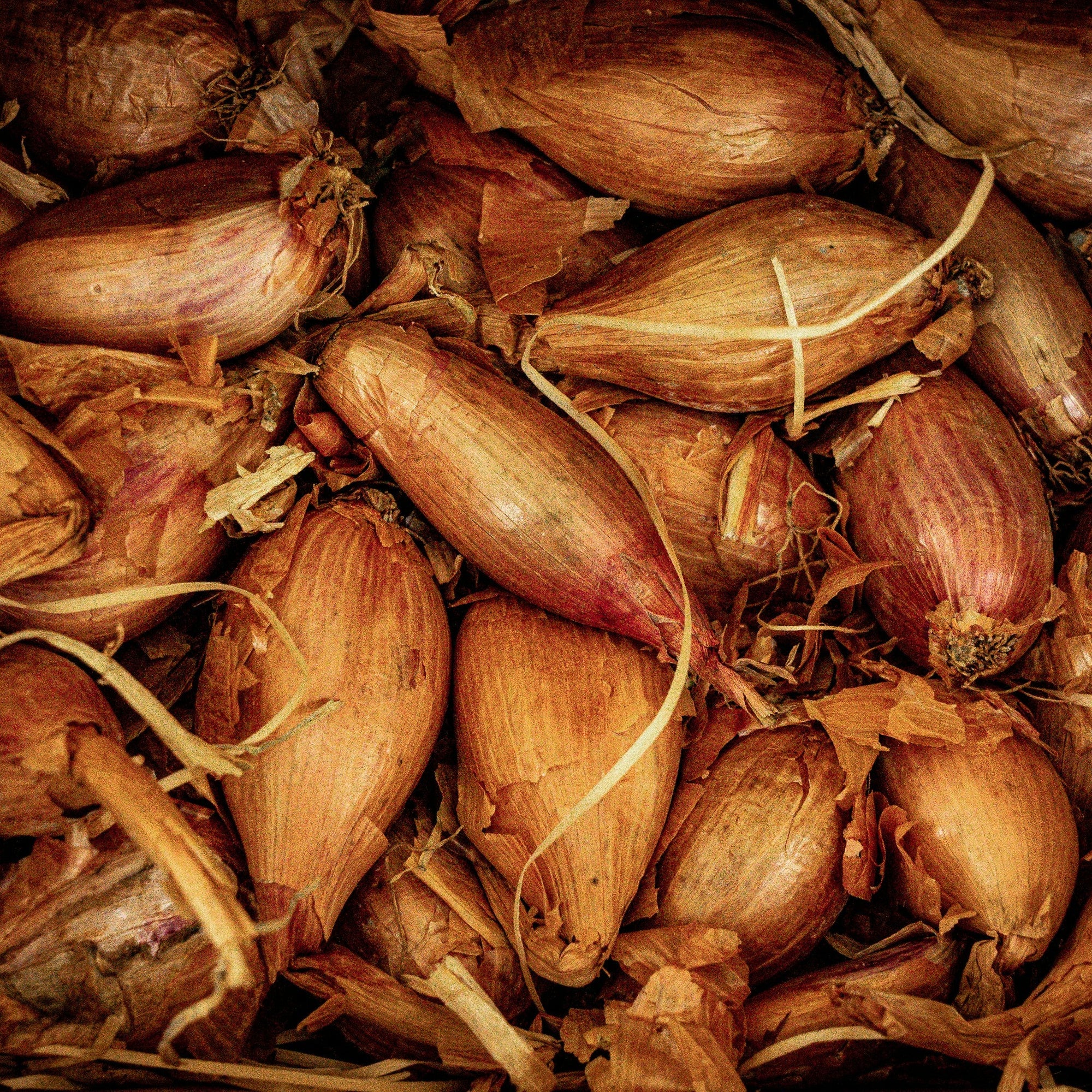 Close-up of banana shallots 