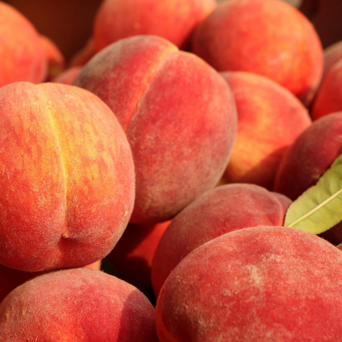Amarillo Peaches (500g)