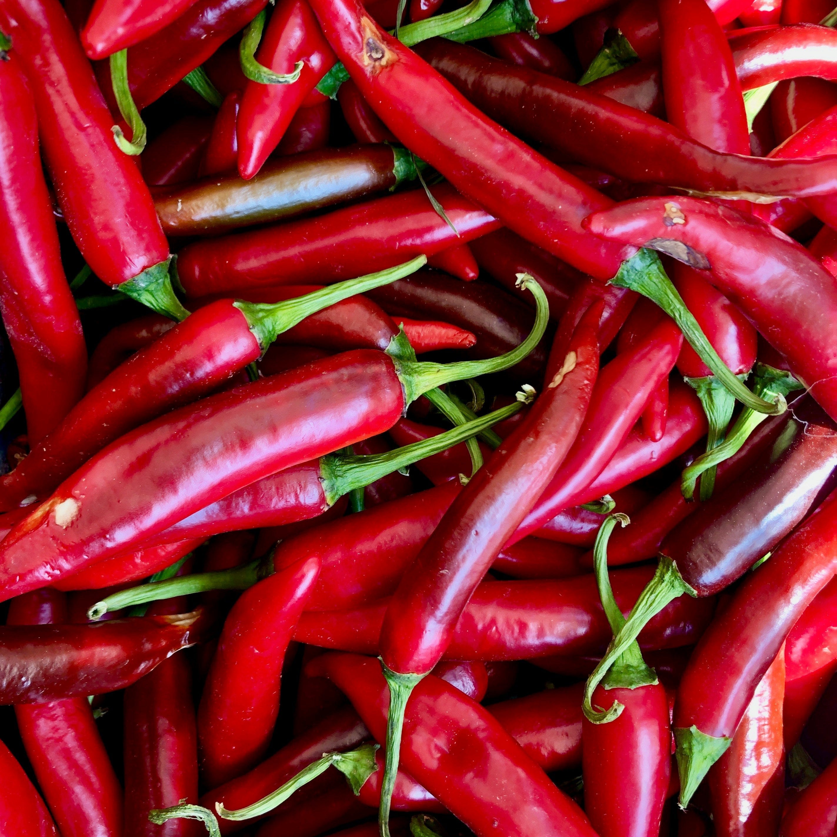Close up of red chillies 