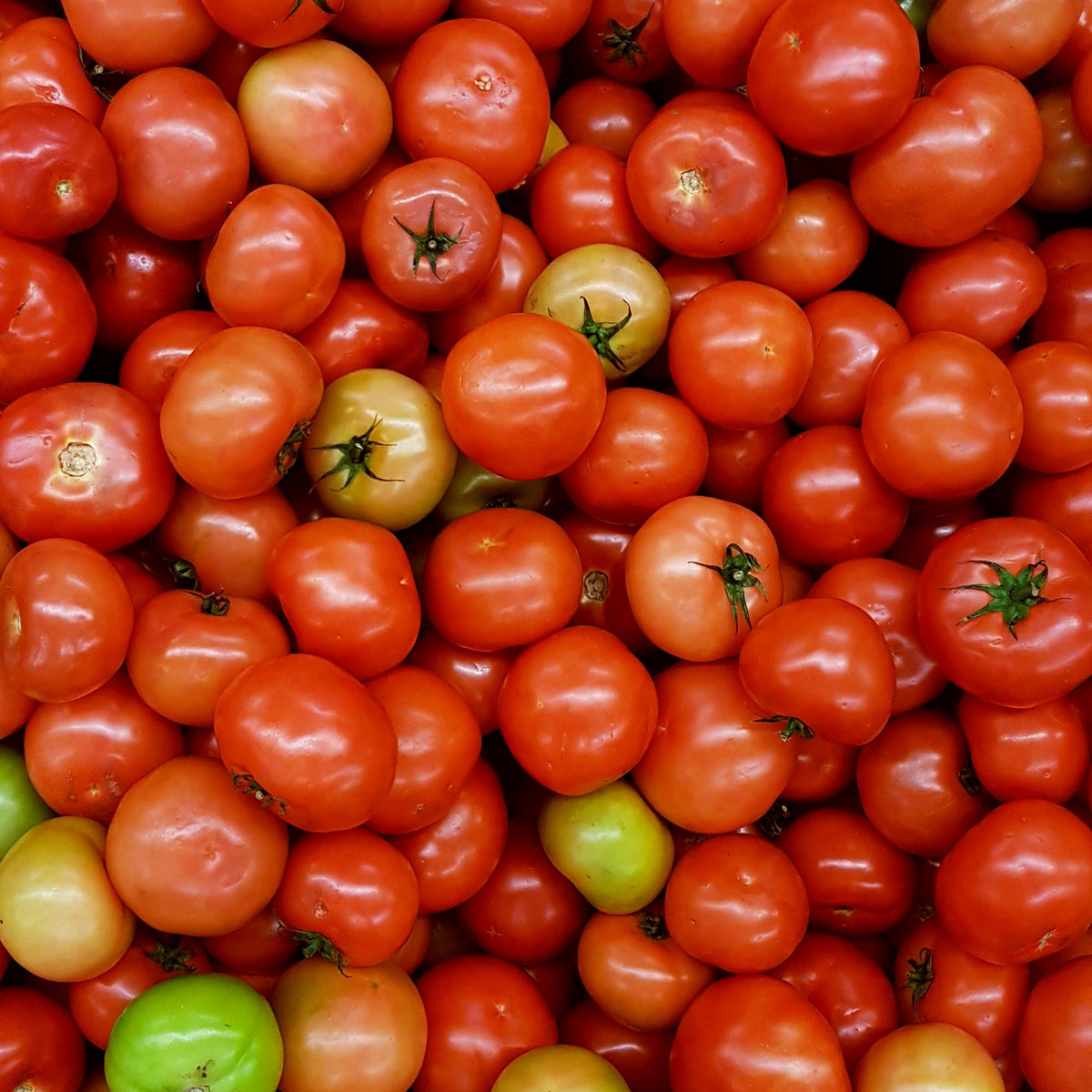 Mixed Arreton Pick & Mix Tomatoes (250g)